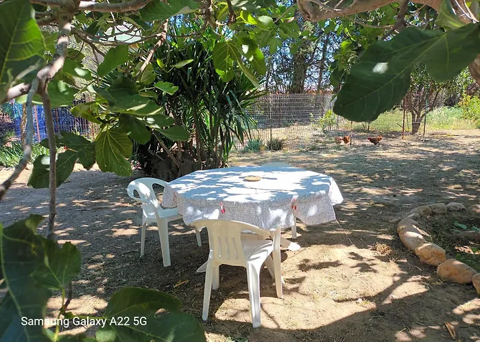 Mas San Salvador