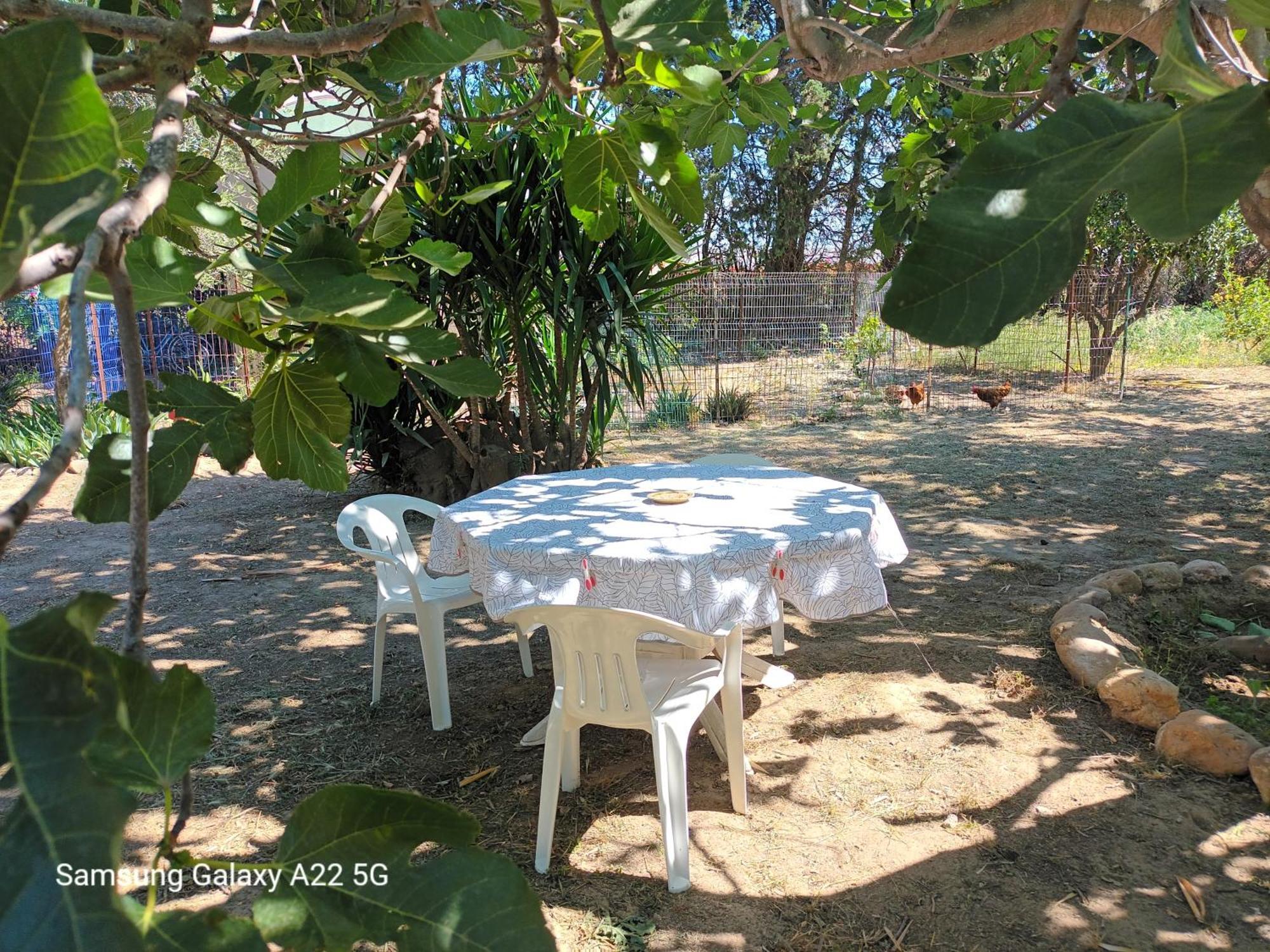 Country house Mas San Salvador Bompas (Pyrenees-Orientales)